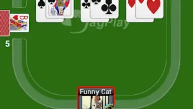 Captura de tela de Durak Online HD 2