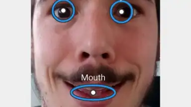 Captura de tela de FaceSwap 3