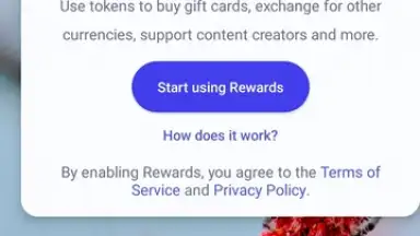 Captura de tela de Brave Browser 3