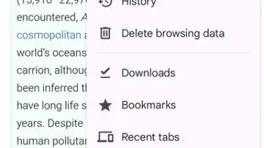 Captura de tela de Chrome Beta 1