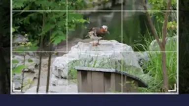 Captura de tela de Smart Gallery - Photo Manager 4