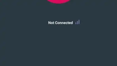 Captura de tela de BARA VPN 7