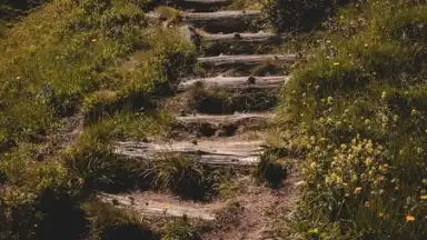 Captura de tela de Instander 10