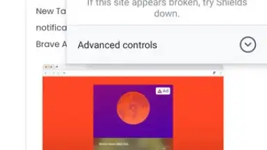 Captura de tela de Brave Browser 4