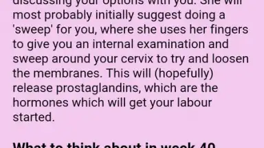 Captura de tela de Pregnancy Weekly 6