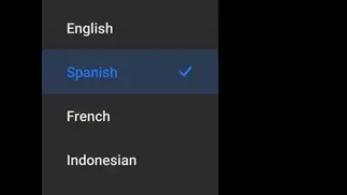 Captura de tela de Mi AI Translate 5