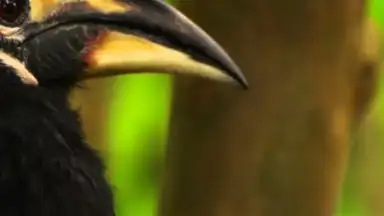 Captura de tela de OGYouTube 8