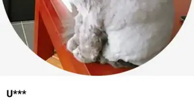 Captura de tela de Rela 3