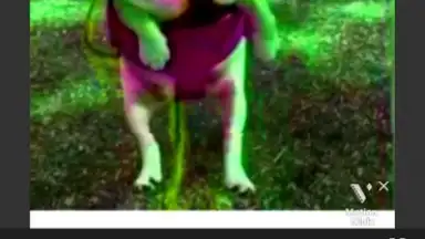 Captura de tela de Motion Ninja 5