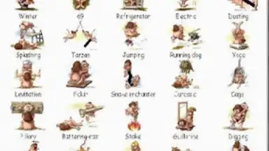 Captura de tela de Kamasutra, the Illustrated Guide 1