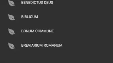 Captura de tela de Католическая энциклопедия 2