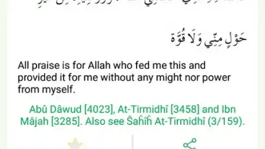Captura de tela de Quran Majeed 5