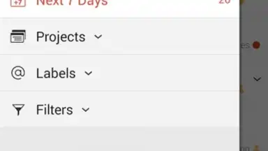 Captura de tela de Todoist 4
