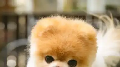 Captura de tela de Boo Weather 1