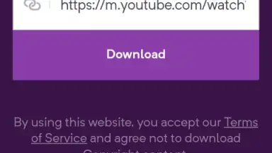 Captura de tela de YouTube Video Downloader 1