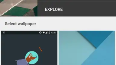 Captura de tela de Google Wallpapers 5