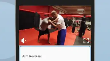 Captura de tela de Ultimate MMA Fighting Program 4