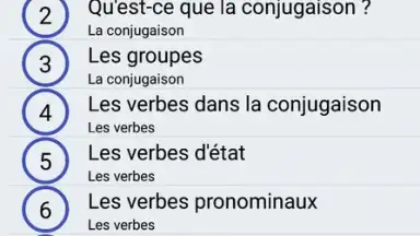 Captura de tela de Le Conjugueur 2