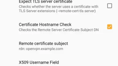 Captura de tela de OpenVPN 19