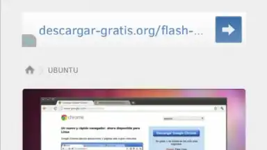 Captura de tela de FlashFox - Flash Browser 2