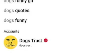 Captura de tela de Pinterest 8