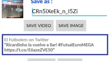 Captura de tela de Video Downloader for Twitter 5