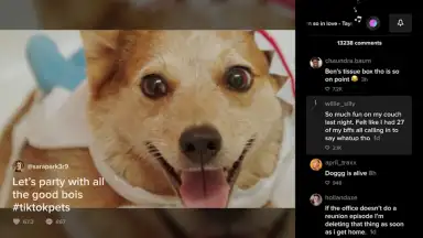 Captura de tela de TikTok for Android TV 3
