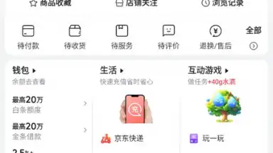 Captura de tela de Jingdong 7