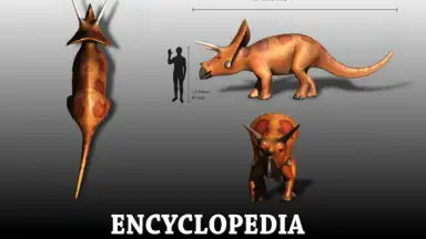 Captura de tela de Dinopedia 4