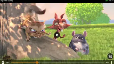 Captura de tela de VLC 6