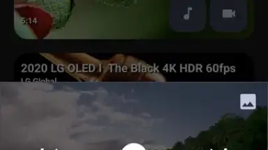 Captura de tela de YTDLnis 12
