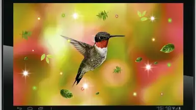 Captura de tela de Colibri Spring 3D LWP 4