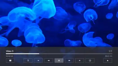 Captura de tela de Media Station X 3