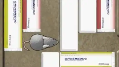 Captura de tela de Mouse Trap 2