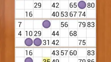 Captura de tela de Loto Online 1