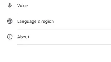 Captura de tela de Google App 5