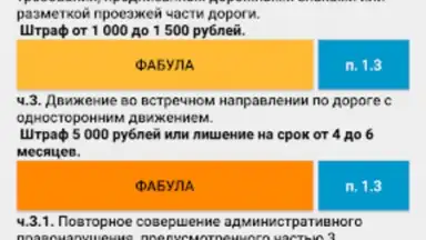 Captura de tela de Памятка сотруднику ДПС ГИБДД 4