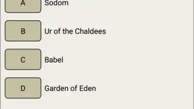 Captura de tela de The bible quiz game 7
