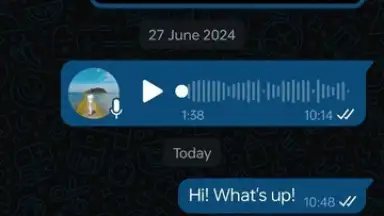 Captura de tela de WhatsApp Business 10