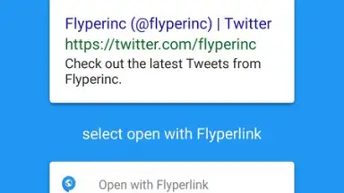 Captura de tela de Flyperlink 8