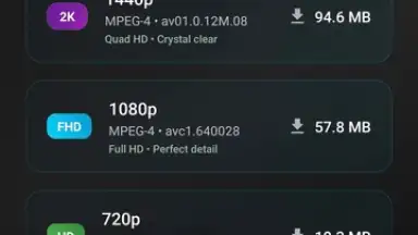 Captura de tela de VidCombo: All Video Downloader 5