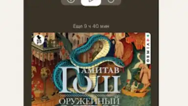 Captura de tela de Bookmate. Books & Audiobooks 10