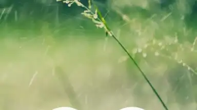 Captura de tela de Meditation Music Metapps 6