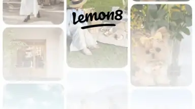 Captura de tela de Lemon8 7