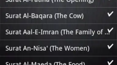Captura de tela de BanglaQuran 3