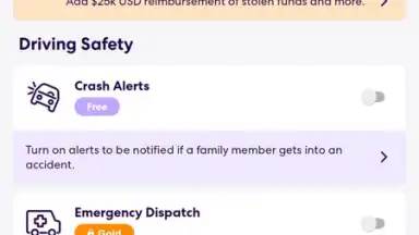 Captura de tela de Life360 22