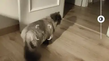 Captura de tela de Camera Go 3