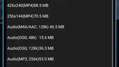 Captura de tela de TubeMate YouTube Downloader 17