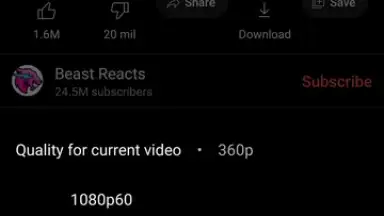 Captura de tela de ReVanced Extended 4