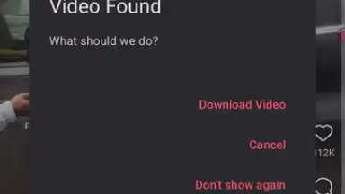 Captura de tela de VidMad Video Downloader 2